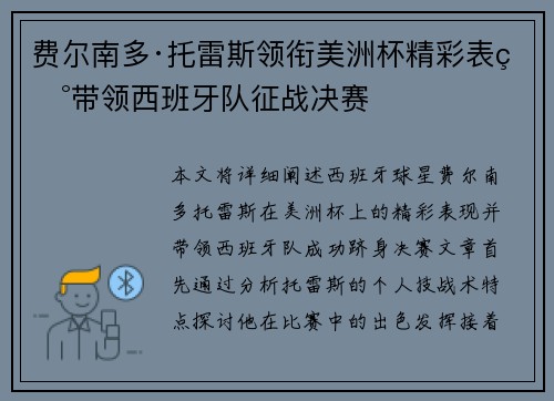 费尔南多·托雷斯领衔美洲杯精彩表现带领西班牙队征战决赛