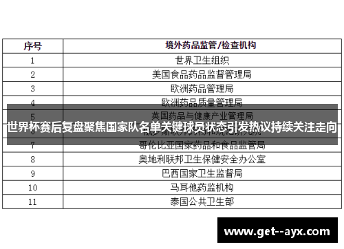 世界杯赛后复盘聚焦国家队名单关键球员状态引发热议持续关注走向